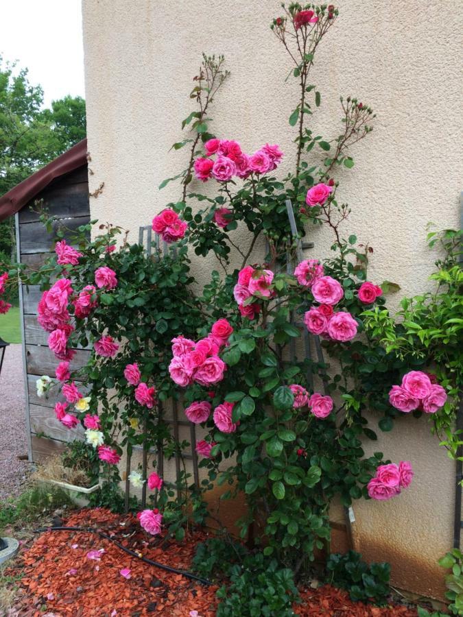 La Mimona Bed and Breakfast Sainte-Eulalie-en-Born Eksteriør billede